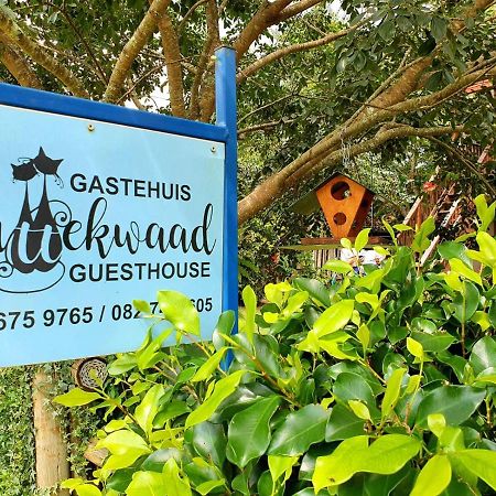 Kattekwaad Accommodation Kaapsehoop Dış mekan fotoğraf