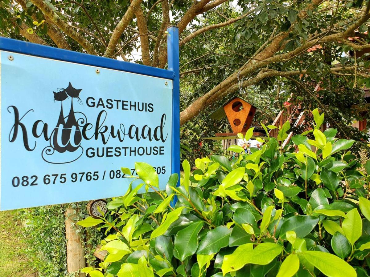 Kattekwaad Accommodation Kaapsehoop Dış mekan fotoğraf