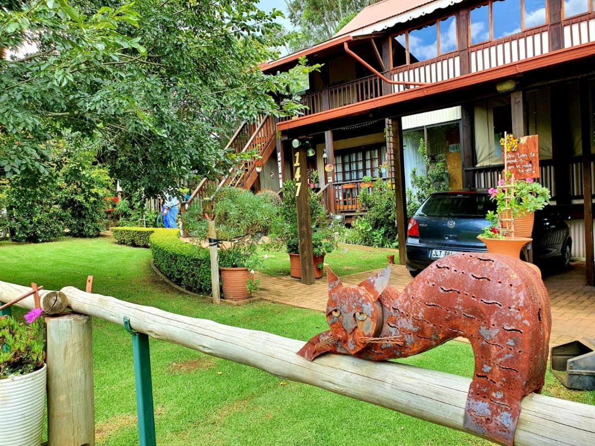 Kattekwaad Accommodation Kaapsehoop Dış mekan fotoğraf