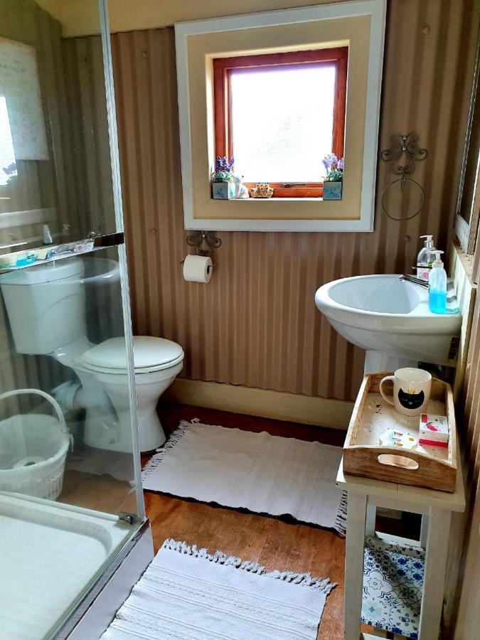 Kattekwaad Accommodation Kaapsehoop Dış mekan fotoğraf