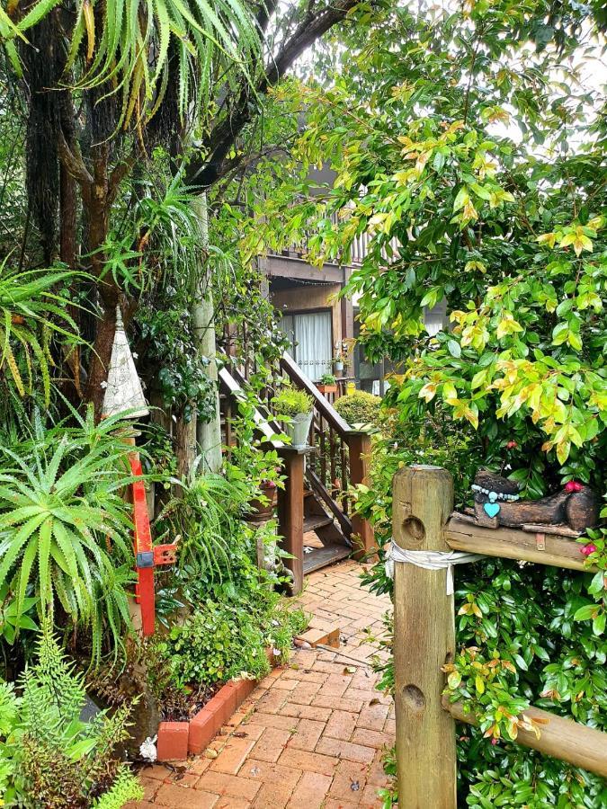 Kattekwaad Accommodation Kaapsehoop Dış mekan fotoğraf