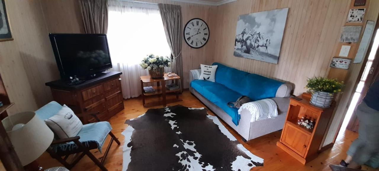 Kattekwaad Accommodation Kaapsehoop Dış mekan fotoğraf