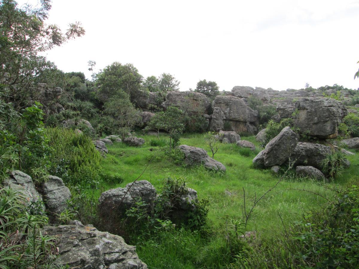 Kattekwaad Accommodation Kaapsehoop Dış mekan fotoğraf