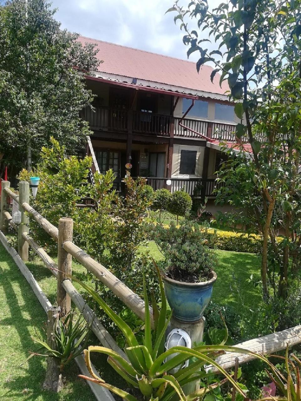 Kattekwaad Accommodation Kaapsehoop Dış mekan fotoğraf